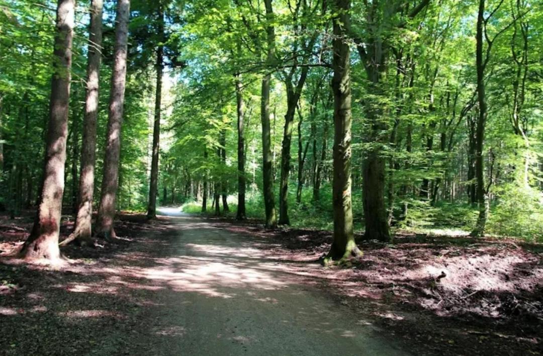 Chalet Harmony Prive Wellness Putten Eksteriør bilde